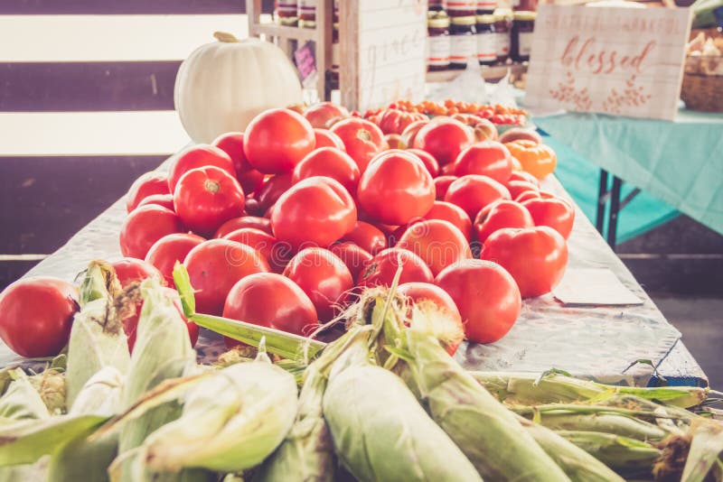 Bewirtschaften Sie frischen Jersey-Zuckermais und -tomaten auf Anzeige am Landwirtmarkterntefest lizenzfreies stockbild Bewirtschaften Sie frischen Jersey-Zuckermais und -tomaten auf Anzeige am Landwirtmarkterntefest lizenzfreies stockbild