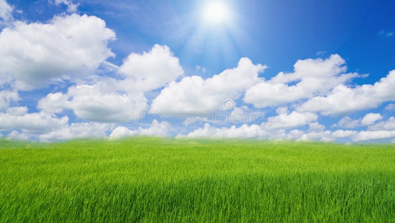 Bewölkte Landschaft der Wolke des blauen Himmels des grünen Grases des Reisfeldes stockfoto Bewölkte Landschaft der Wolke des blauen Himmels des grünen Grases des Reisfeldes stockfoto