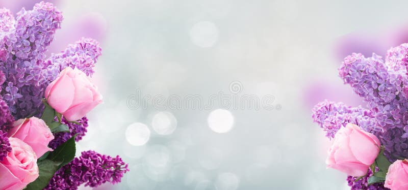 Bez kwitnie z różami fotografia royalty free