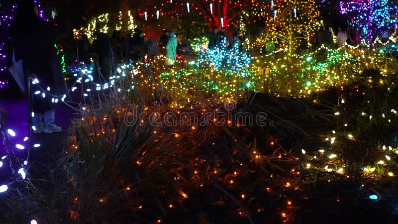 Bezaubernde farbenfrohe Lichtkuppel im nächtlichen Garten stock video footage