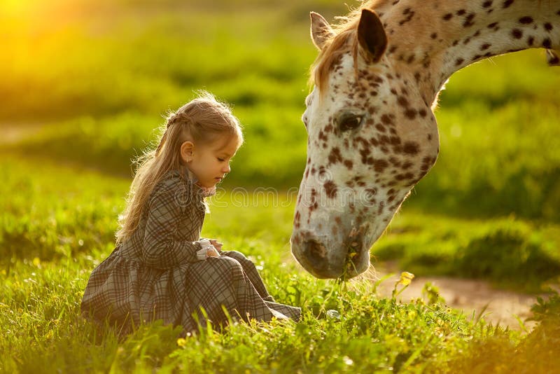 Bezauberndes Mädchen mit schönem beschmutztem Pferd stockfotografie Bezauberndes Mädchen mit schönem beschmutztem Pferd stockfotografie