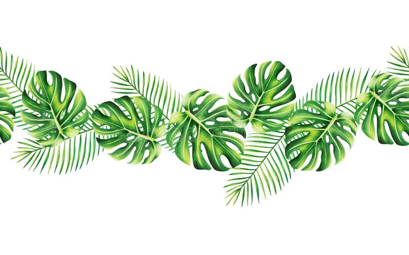 Bezbarwna krawędź o realistycznych liściach tropikalnych. ilustracja odizolowanych liści monstera caladium ficus royalty ilustracja
