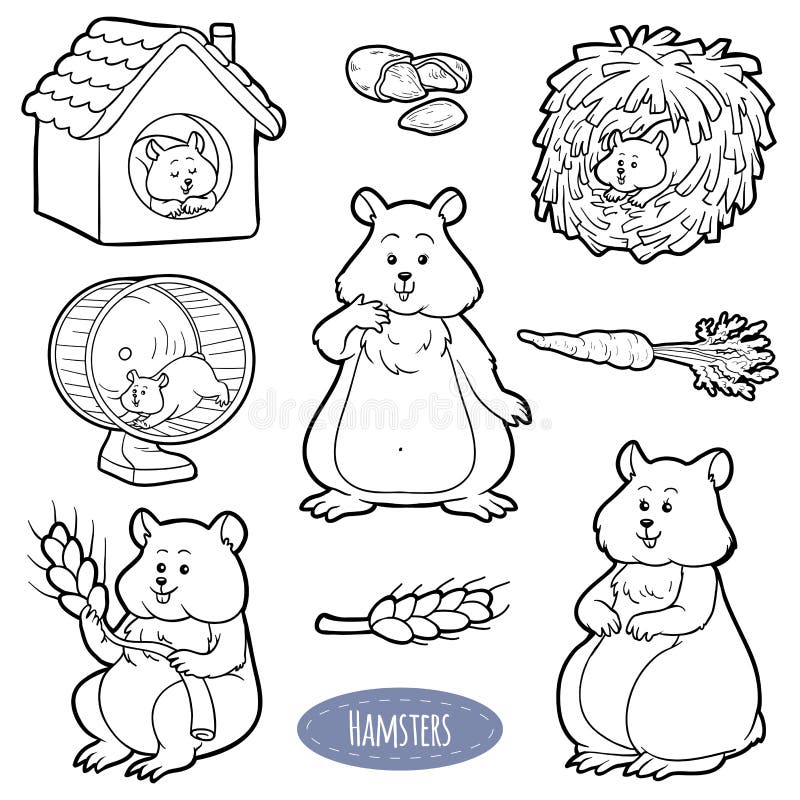 Bezbarwny set śliczni zwierze domowy i przedmioty (chomiki) ilustracji
