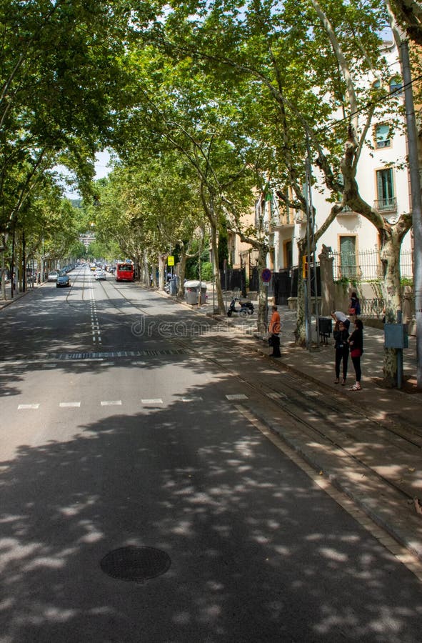 Bezige straat met voetgangers die weg van Barcelona wachten te kruisen stock afbeeldingen Bezige straat met voetgangers die weg van Barcelona wachten te kruisen stock afbeeldingen