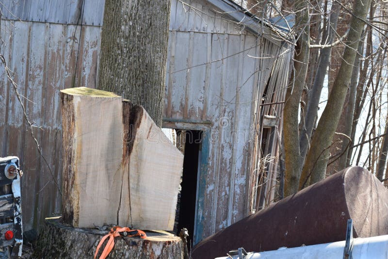 Bezinningen royalty-vrije stock foto