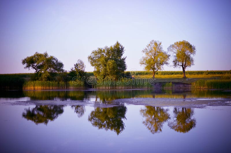 Bezinningen van groene bomen, blauwe hemel en wolken in het kalme watermeer stock afbeeldingen Bezinningen van groene bomen, blauwe hemel en wolken in het kalme watermeer stock afbeeldingen