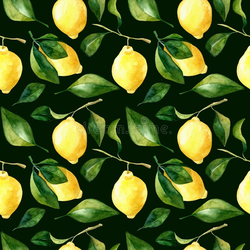 Bezproblemowy wzór na akwareli na ciemno zielonym tle Botaniczna ilustracja żółtych owoców cytrusowych