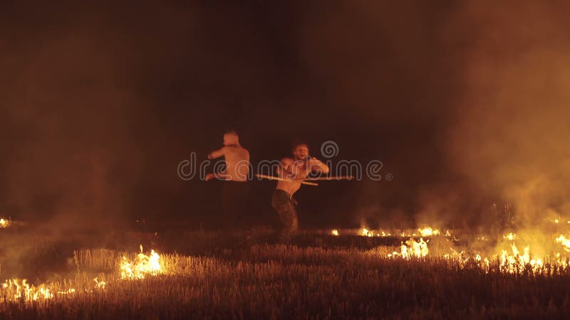Bezpłatni wojownicy bije z pochodniami przy nocą podpalają w polu 4K