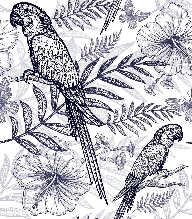 Bezszwowi wzorów kwiaty, ptaki i ilustracji Bezszwowi wzorów kwiaty, ptaki i ilustracji