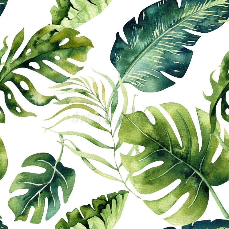Seamless watercolor pattern of tropical leaves, dense jungle. Hand painted palm leaf. Texture with tropic summertime may be used as background, wrapping paper, textile or wallpaper design. Seamless watercolor pattern of tropical leaves, dense jungle. Hand painted palm leaf. Texture with tropic summertime may be used as background, wrapping paper, textile or wallpaper design.