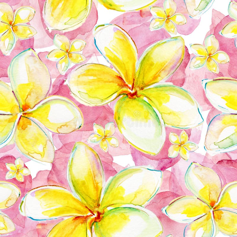 Bezszwowy egzota wzór z kwiatu plumeria ilustracji Bezszwowy egzota wzór z kwiatu plumeria ilustracji