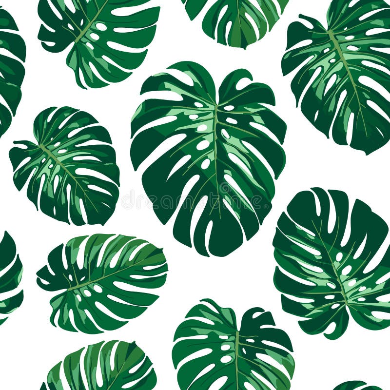Bezszwowy monstera palmy liści wzór ilustracji Bezszwowy monstera palmy liści wzór ilustracji