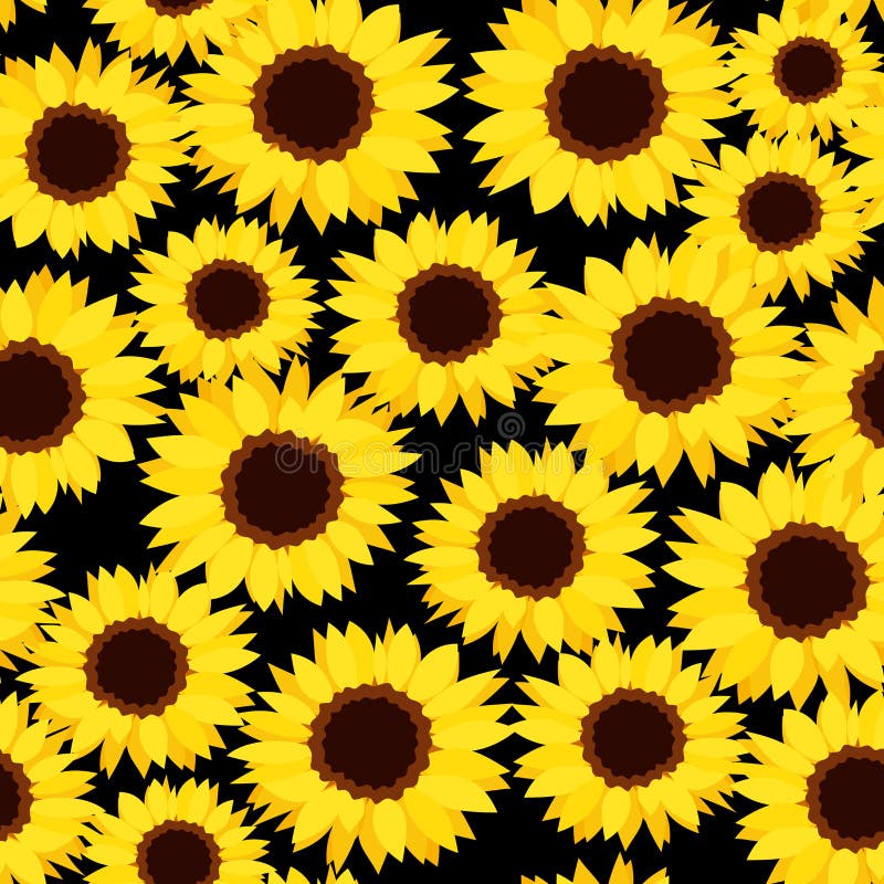 vector Illustration of seamless pattern with sunflowers on a black background. vector Illustration of seamless pattern with sunflowers on a black background.