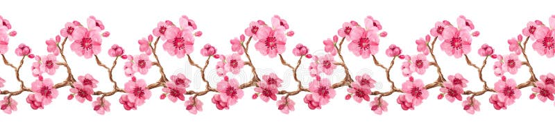 Bezszwowy wz? r z Sakura obrazy royalty free