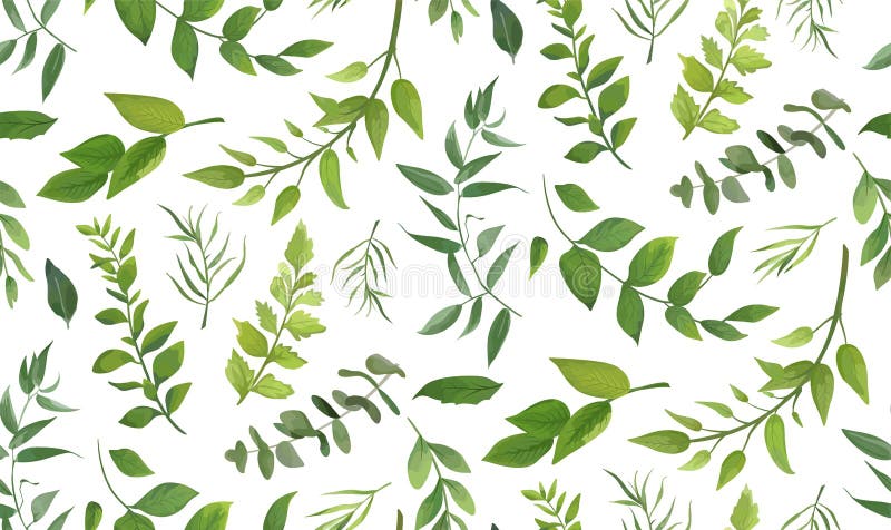 Seamless pattern of Eucalyptus palm fern different tree, foliage natural branches, green leaves, herbs, tropical plant hand drawn watercolor Vector fresh beauty rustic eco friendly background on white. Seamless pattern of Eucalyptus palm fern different tree, foliage natural branches, green leaves, herbs, tropical plant hand drawn watercolor Vector fresh beauty rustic eco friendly background on white