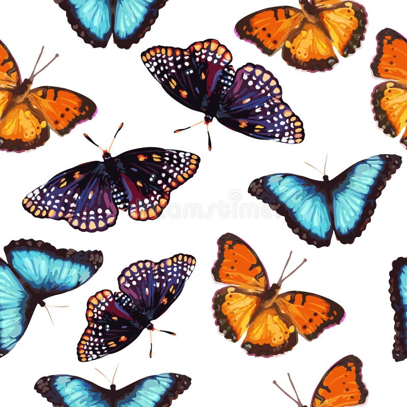 Bezszwowy wzór motyl ilustracji Bezszwowy wzór motyl ilustracji