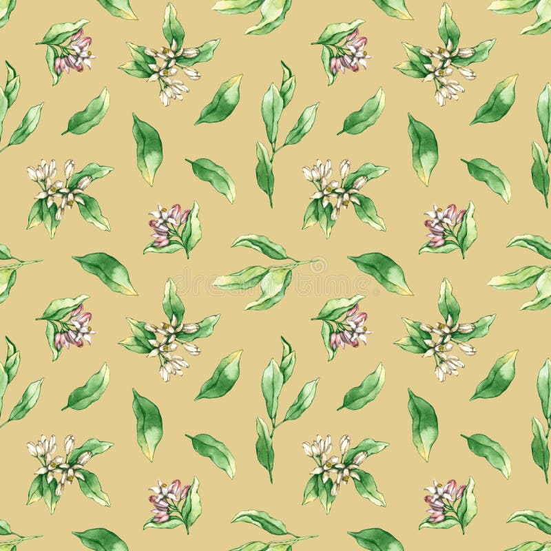 Seamless pattern with watercolor lemon and orange flowers, leaves. Hand drawn illustration is isolated on beige. Floral ornament is perfect for natural design, wallpaper, linens, fabric textile. Seamless pattern with watercolor lemon and orange flowers, leaves. Hand drawn illustration is isolated on beige. Floral ornament is perfect for natural design, wallpaper, linens, fabric textile