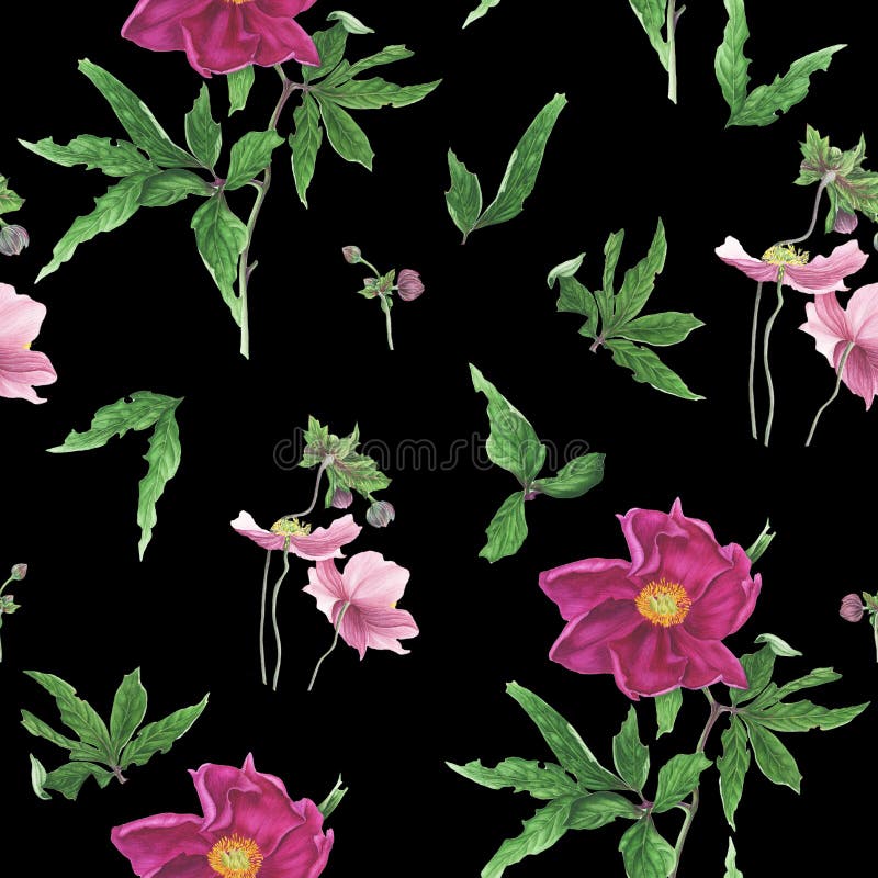 Bezszwowy wzór z kwiatami i liśćmi różowa peonia i anemony, akwarela obraz ilustracji Bezszwowy wzór z kwiatami i liśćmi różowa peonia i anemony, akwarela obraz ilustracji