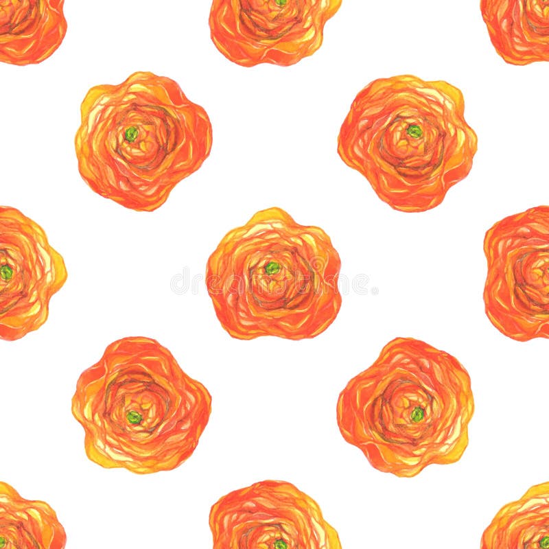 Bezszwowy wzór z pomarańczowymi ranunculus kwiatami ilustracja wektor Bezszwowy wzór z pomarańczowymi ranunculus kwiatami ilustracja wektor