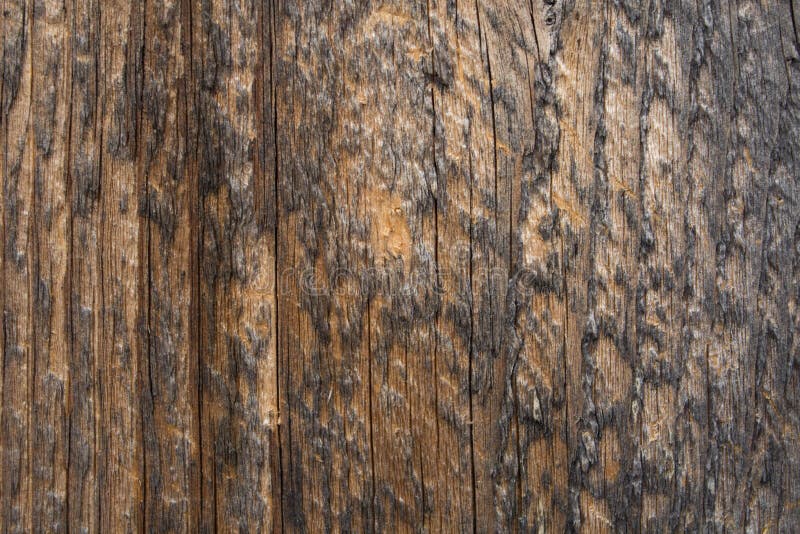 Download BG-Wood-vertical-lines-02 stock image. Image of lines - 87734995