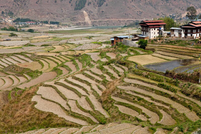 Bhutanese village