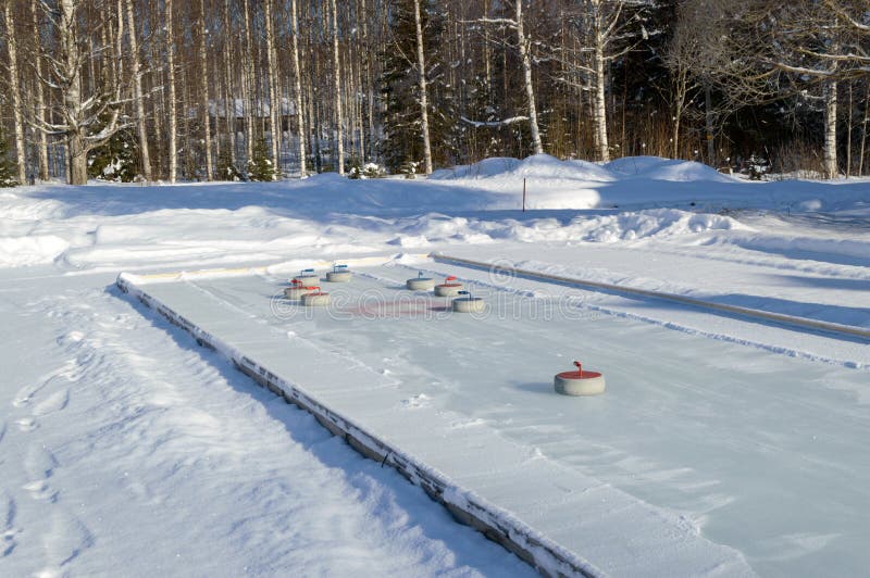 Bi på nemorosaCurling fält för vit windfloweranemon i Finland vinterskog royaltyfria foton Bi på nemorosaCurling fält för vit windfloweranemon i Finland vinterskog royaltyfria foton