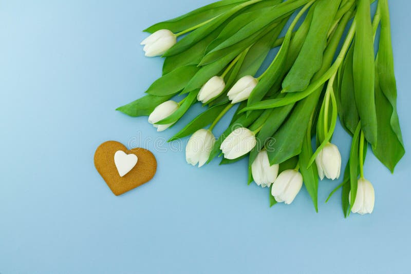 Biały serce i tulipany kształtowali kamień i ciastko na błękitnym tle Kwitnie pocztówkę dla kobieta dnia, matka dnia lub walentyn fotografia royalty free Biały serce i tulipany kształtowali kamień i ciastko na błękitnym tle Kwitnie pocztówkę dla kobieta dnia, matka dnia lub walentyn fotografia royalty free