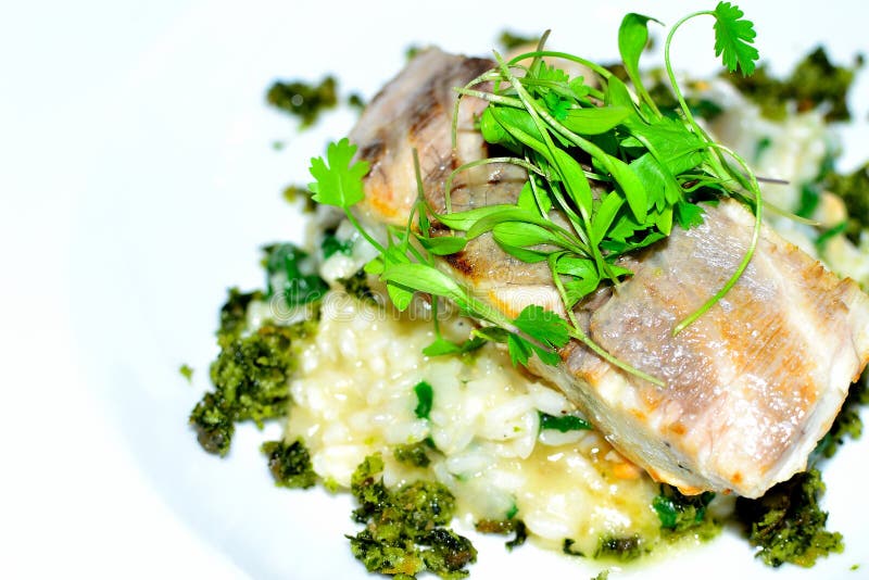 białej ryba i ryż risotto obrazy stock białej ryba i ryż risotto obrazy stock