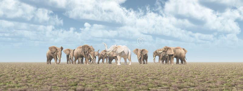 Computer generated 3D illustration with a white elephant in an elephant herd. Computer generated 3D illustration with a white elephant in an elephant herd