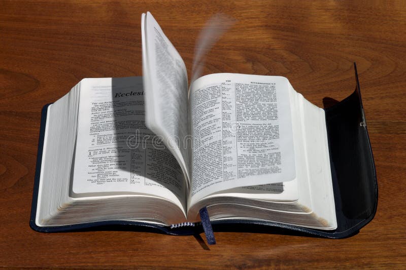 bibeln som bläddrar helgedom, pages ande royaltyfri bild bibeln som bläddrar helgedom, pages ande royaltyfri bild