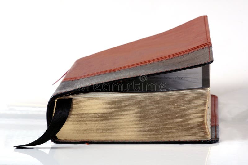 Caro un libro o La biblia en blanco.