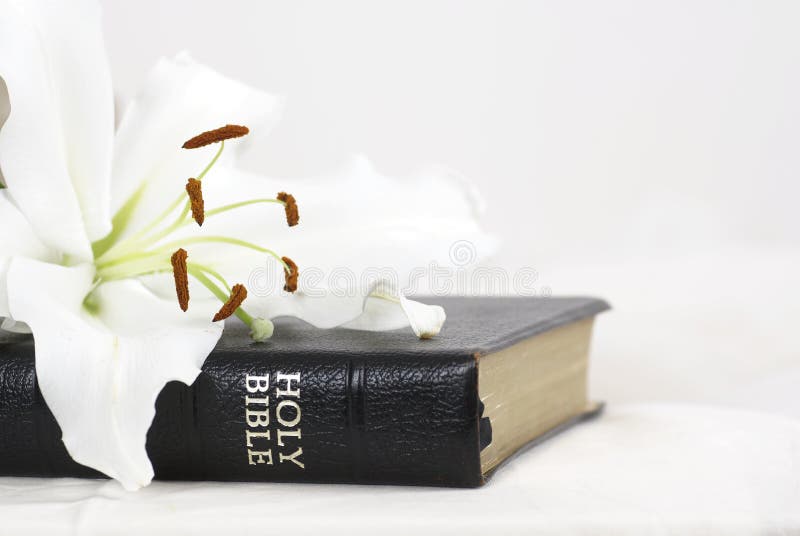 Holy Bible With Flowers