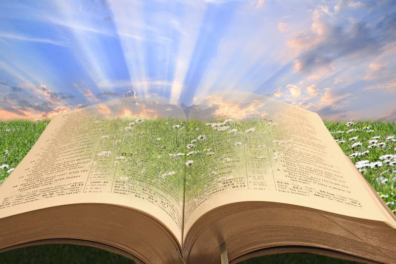 De Sagrada Biblia el sol rayos brillante a través de un libro constituir espiritual la luz!  
