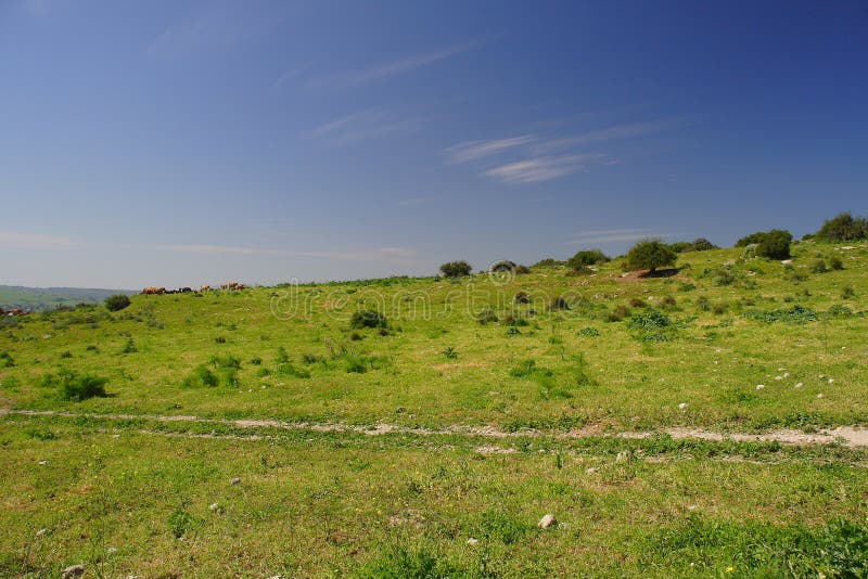 Bible hills stock photo. Image of clouds, israel, landscape 5003954