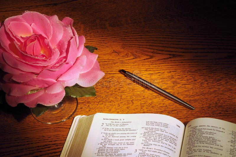 Bible, pen, & rose stock photo. Image of christianity 6096854