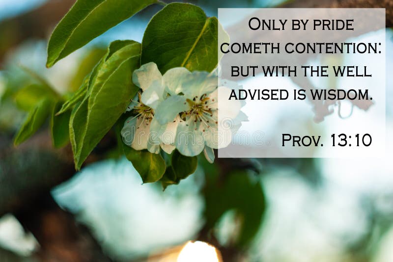 Bible Quotes On Blurred Nature Background. Card With Text Sign For  Believers. Inspirational Verse Thoughts For Praying Stock Image - Image Of  Card, Hope: 181166759