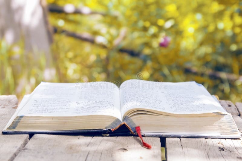 Biblia que brilla intensamente abierta en naturaleza imagenes de archivo Biblia que brilla intensamente abierta en naturaleza imagenes de archivo