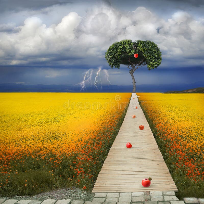 Biblical apple of temptation. To the apple tree there is a narrow path. In the background, a thunderous beautiful sky. Biblical apple of temptation. To the apple tree there is a narrow path. In the background, a thunderous beautiful sky.