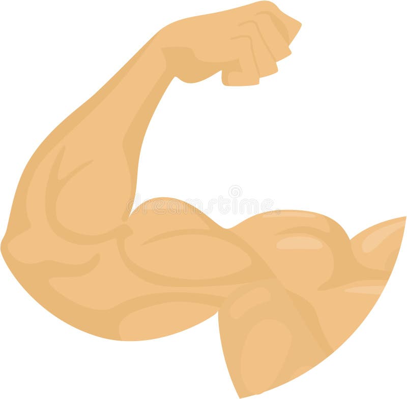 Biceps Stock Illustrations – 12,925 Biceps Stock Illustrations, Vectors