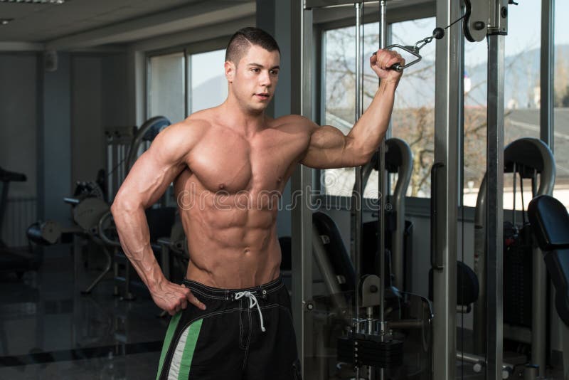 Biceps Workout with Cables stock image. Image of attractive 62869489