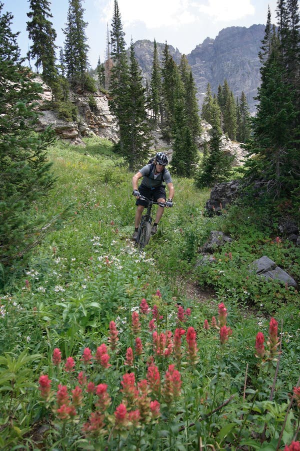 Bicicleta de montanha imagens de stock