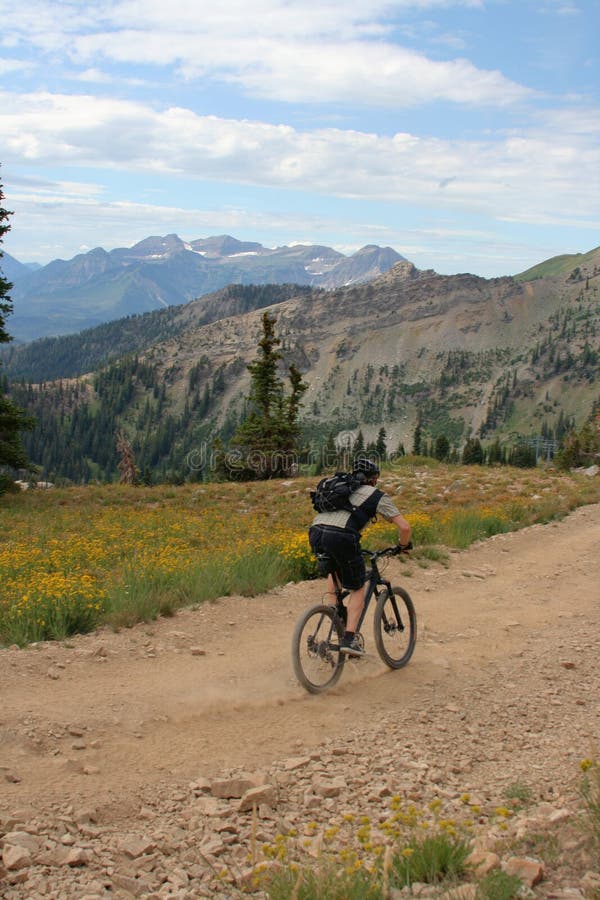 Bicicleta de montanha foto de stock royalty free