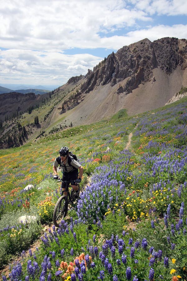 Bicicleta de montanha fotos de stock