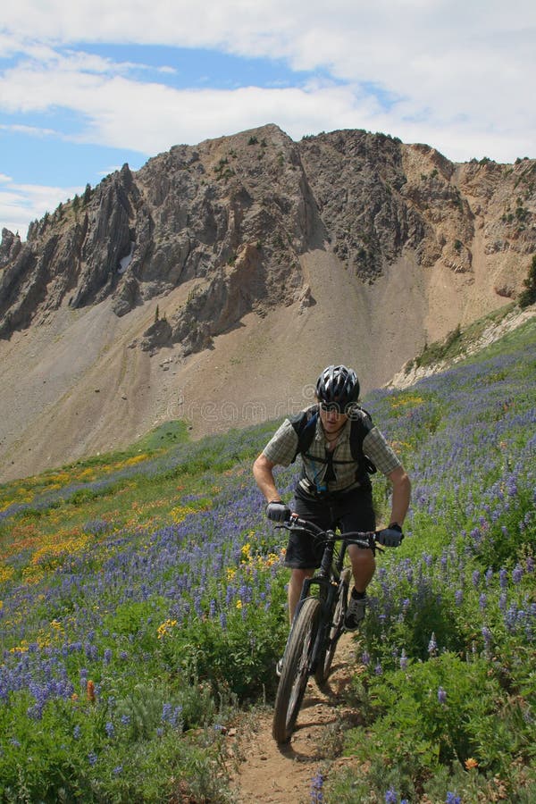 Ciclista de montanha fotos de stock royalty free