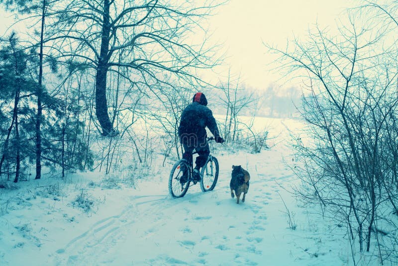 Bicicleta del paseo del hombre en invierno nevoso imágenes de archivo libres de regalías Bicicleta del paseo del hombre en invierno nevoso imágenes de archivo libres de regalías