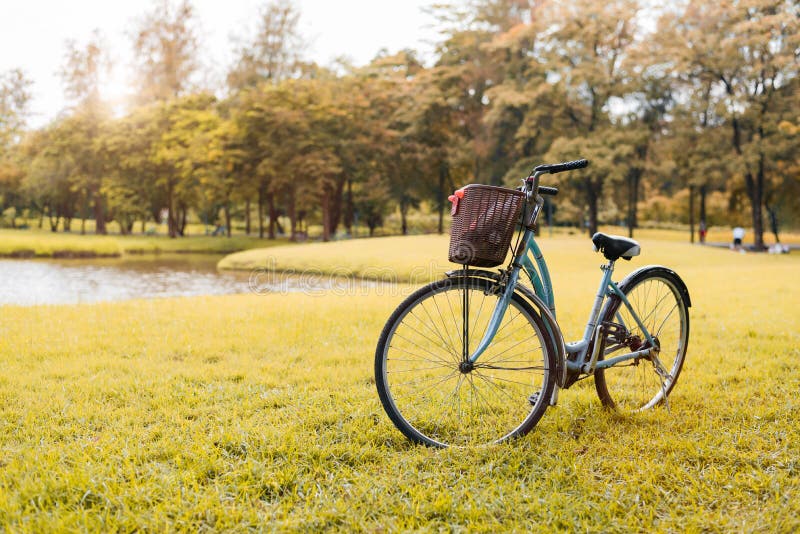 Bicicleta no parque do outono Conceito do esporte e da atividade Relaxe e conceito da atividade Tema do lazer e da natureza Tema foto de stock royalty free Bicicleta no parque do outono Conceito do esporte e da atividade Relaxe e conceito da atividade Tema do lazer e da natureza Tema foto de stock royalty free