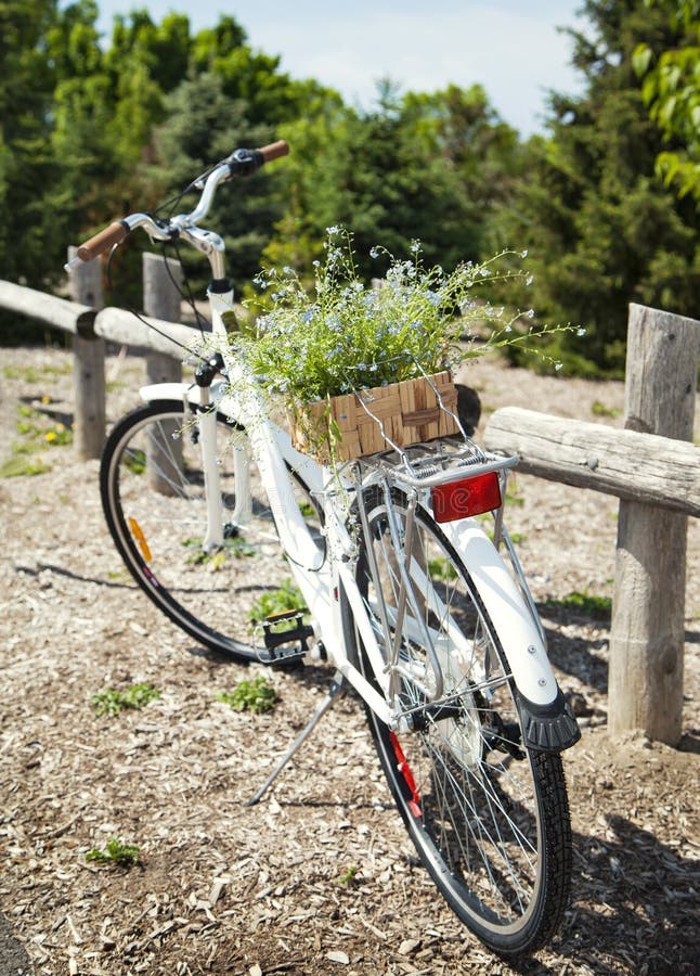 Bicicletta con un secchio dei fiori blu fotografia stock libera da diritti Bicicletta con un secchio dei fiori blu fotografia stock libera da diritti