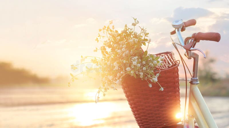 Bicicletta d'annata con i fiori nel canestro sul tramonto di estate