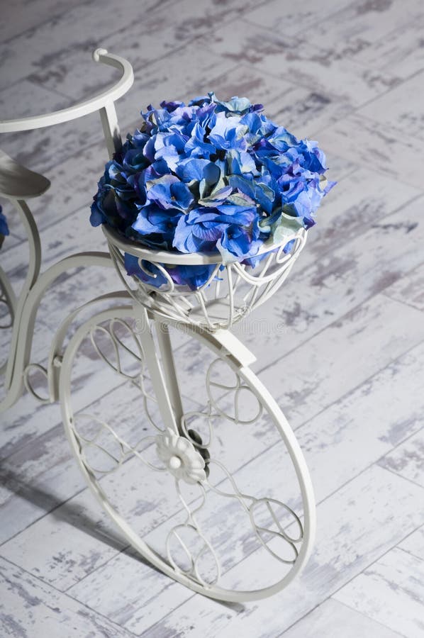 Bicicletta di bianco di giardino con un canestro dell'ortensia del blu dei fiori fotografie stock Bicicletta di bianco di giardino con un canestro dell'ortensia del blu dei fiori fotografie stock