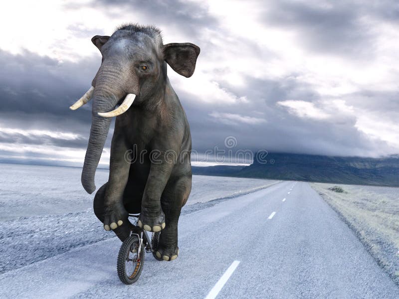Bicicletta divertente della bicicletta di guida dell'elefante surreale